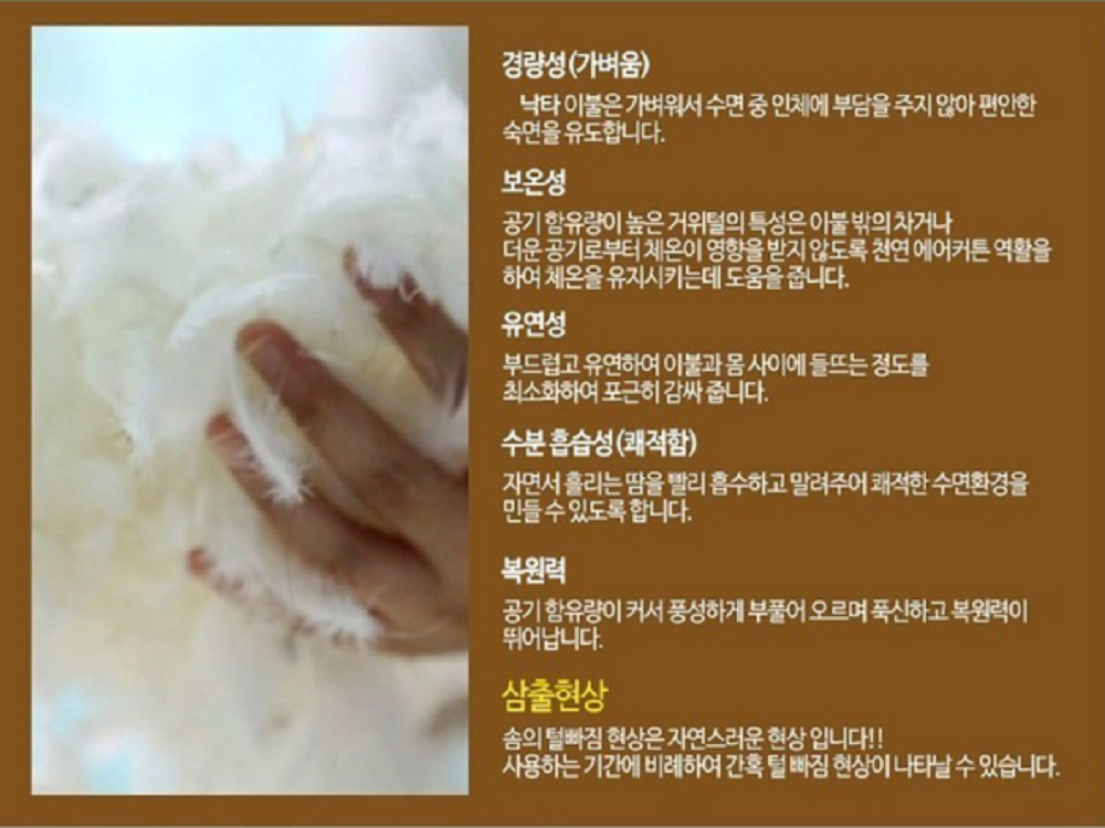 예단용 낙타이불 묶음상품 5개