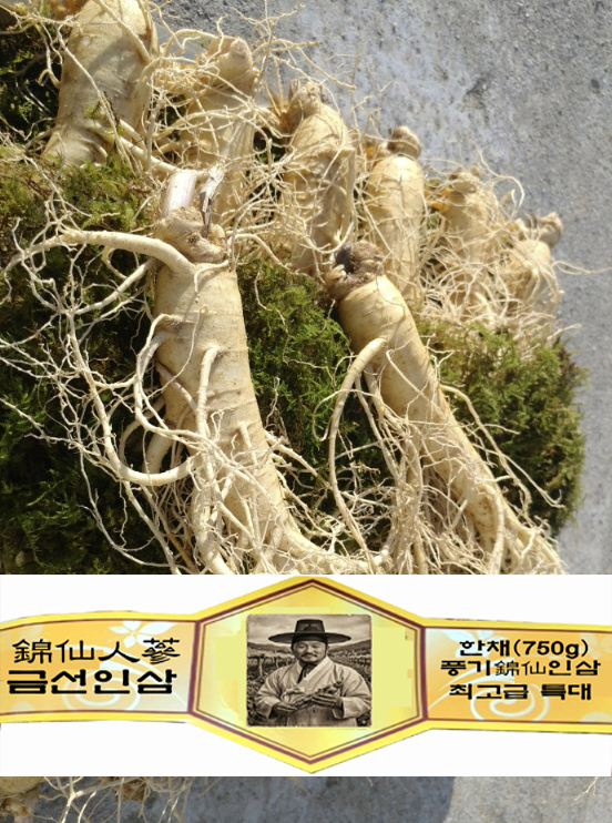錦仙홍삼액 100ml x 60포