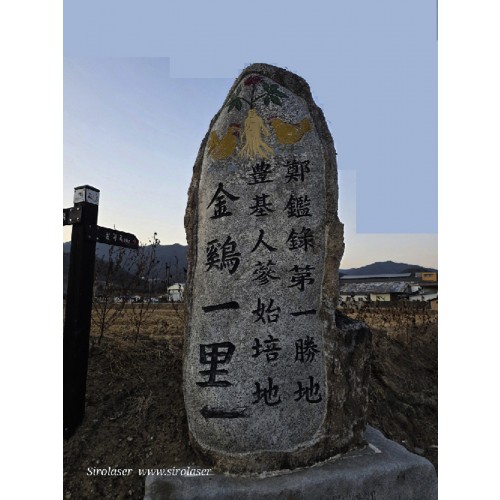 전통비법 프리미엄홍삼액 100ml x 60포