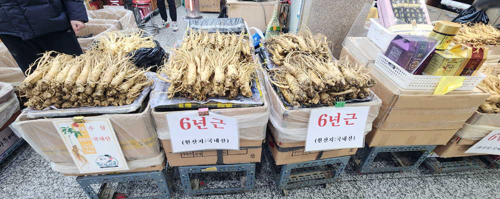 전통비법 프리미엄홍삼액 100ml x 60포